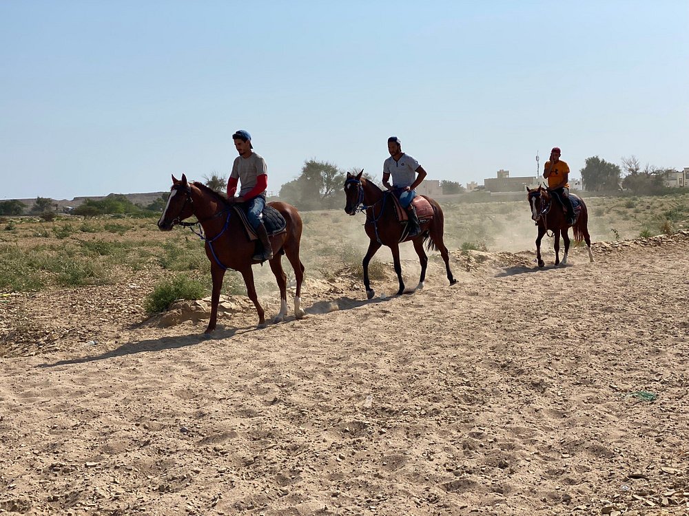 Beach Tour with Horseback Riding