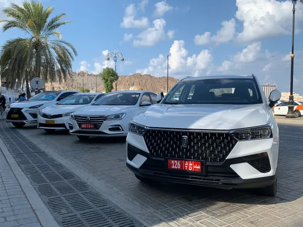 Al Sultan Qaboos Port to Al Nahda Resort – Class F Transfer (Full-Size Luxury Cars)